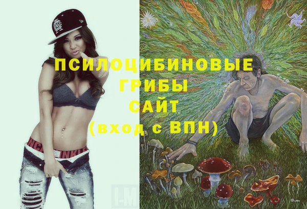 не бодяженный Алексин