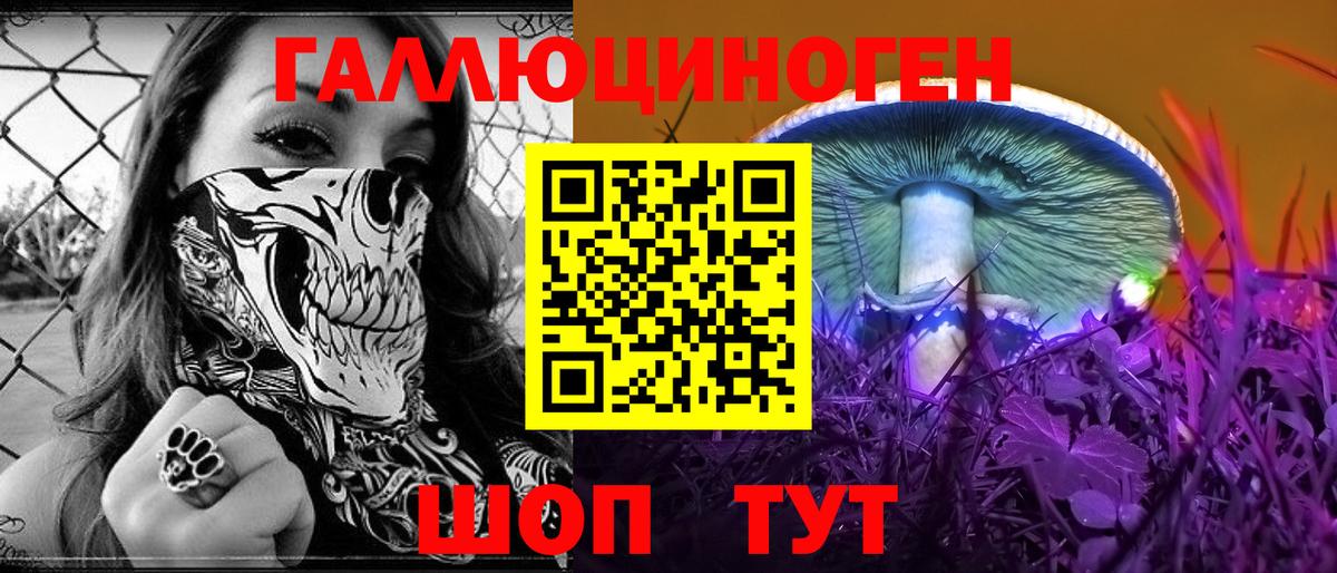 Псилоцибиновые грибы Cubensis Новокубанск