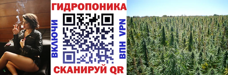 Бошки Шишки MAZAR  Новокубанск 